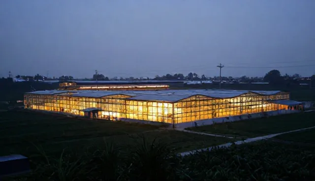 提升企业搜索效率：使用与维护建议